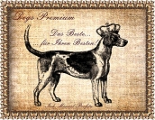 Logo Dogs-Premium